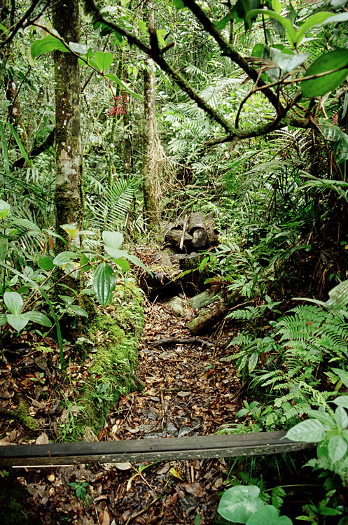 Malaysia, Borneo, 2008