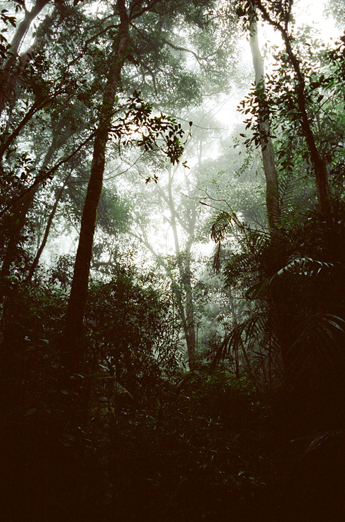 Malaysia, Borneo, 2008