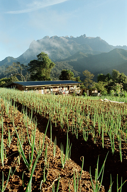 Malaysia, Borneo, 2008