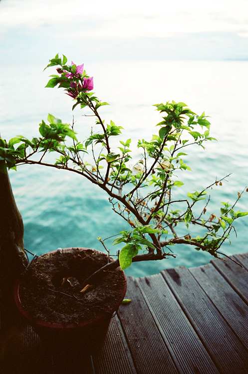 Malaysia, Borneo, 2008