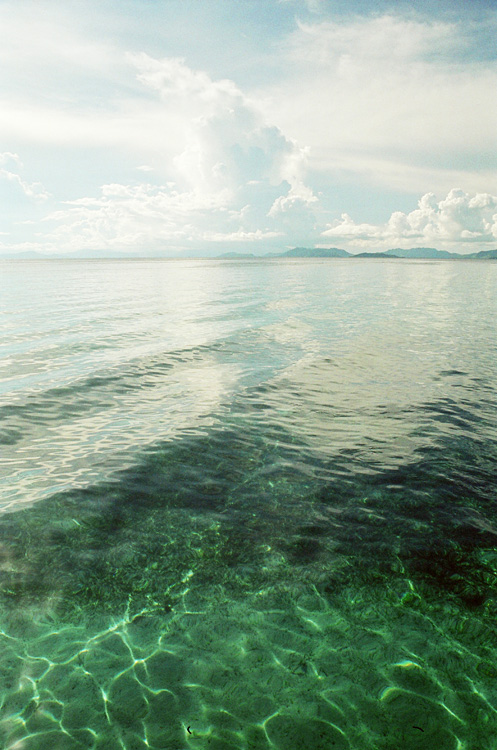 Malaysia, Borneo, 2008