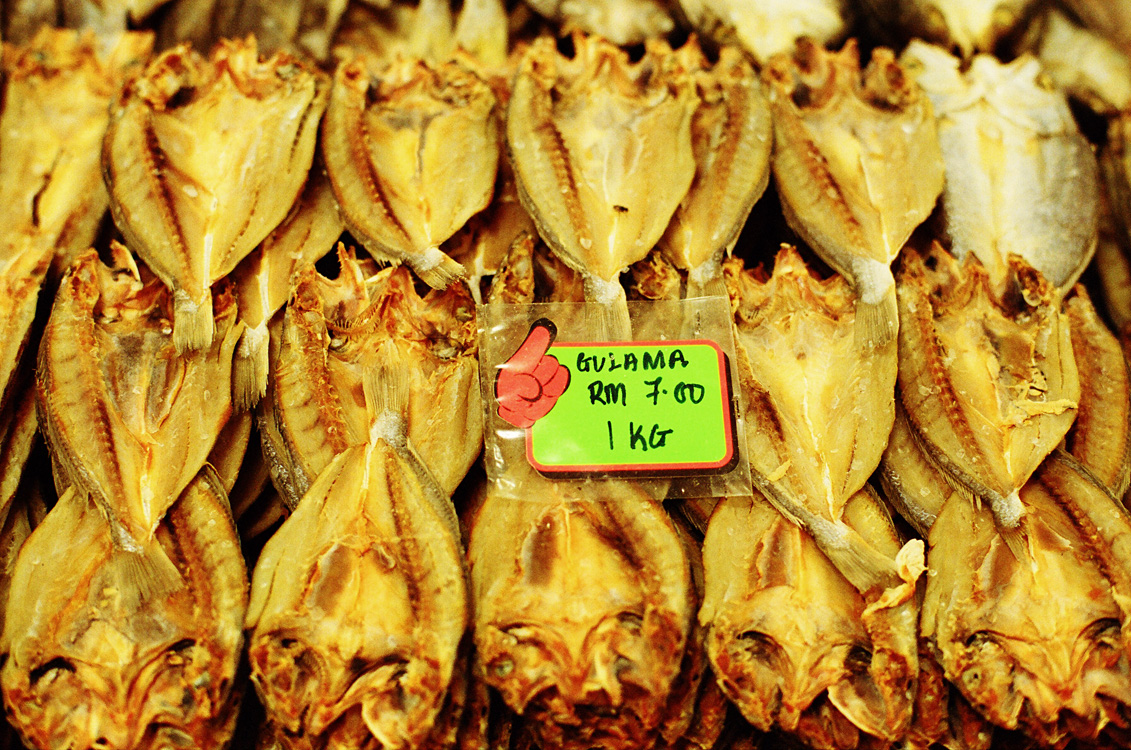 Malaysia, Borneo, 2008