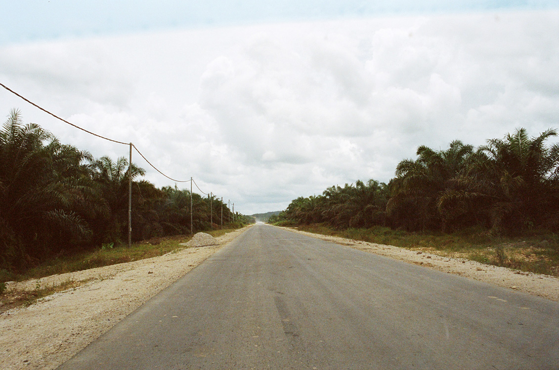 Malaysia, Borneo, 2008