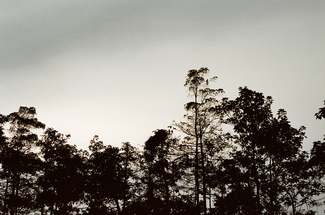 Malaysia, Borneo, 2008