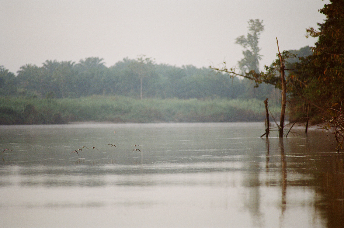 Malaysia, Borneo, 2008