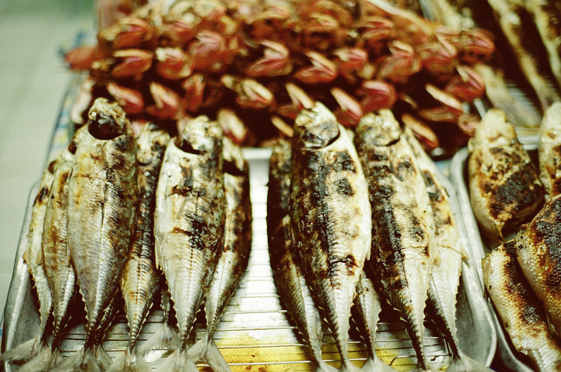 Malaysia, Borneo, 2008