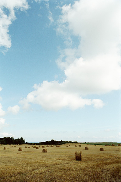 In the west, August 2008