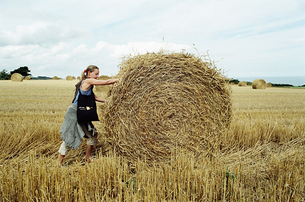 In the west, August 2008