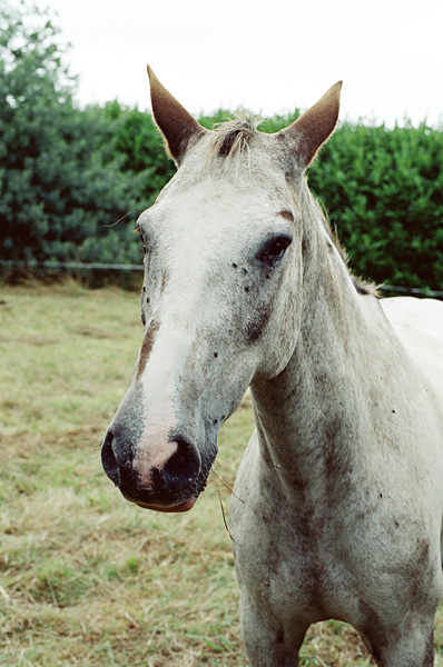 In the west, August 2008
