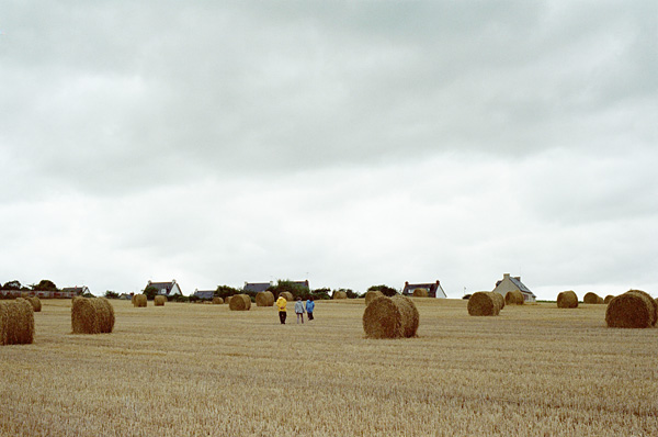 In the west, August 2008