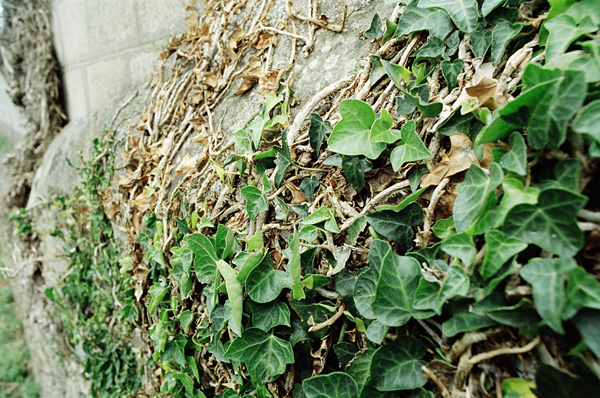 In the west, August 2008