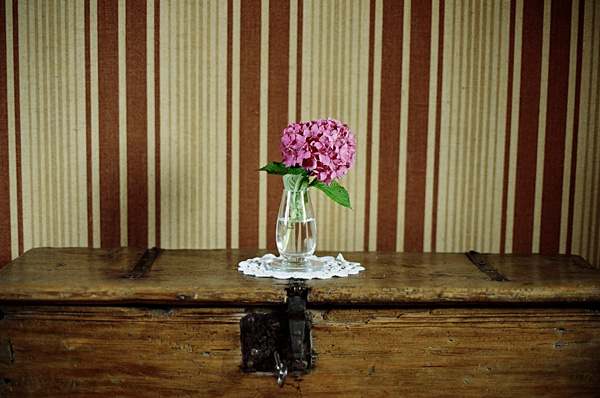 In the west, August 2008