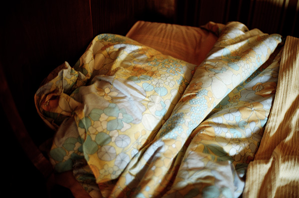 In the west, August 2008