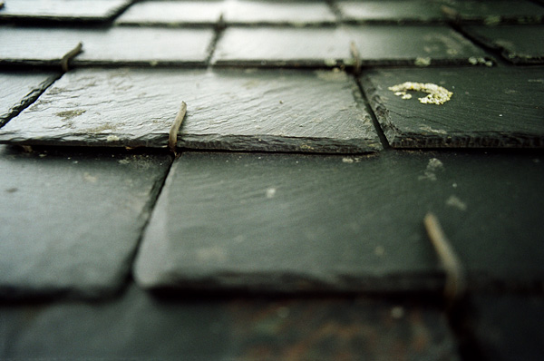 In the west, August 2008