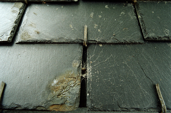 In the west, August 2008