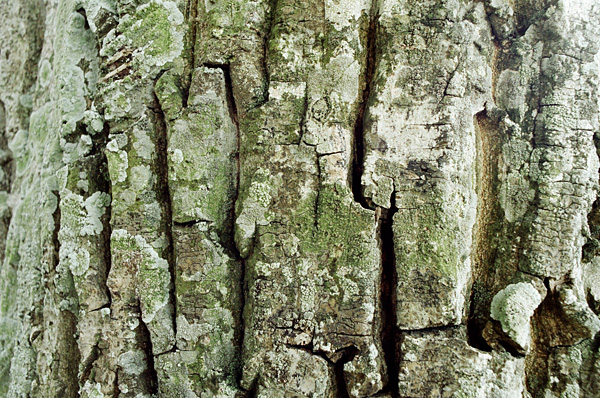 In the west, August 2008