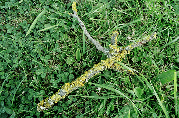 In the west, August 2008