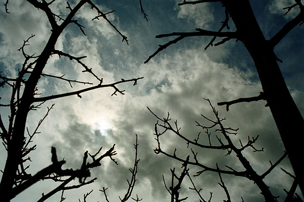 In the west, August 2008