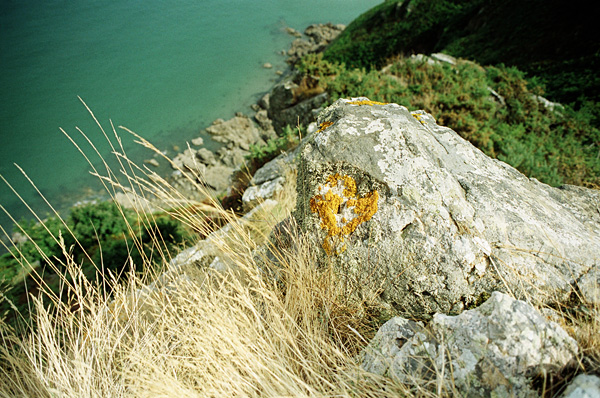In the west, August 2008