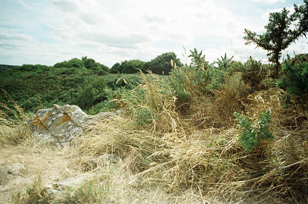 In the west, August 2008