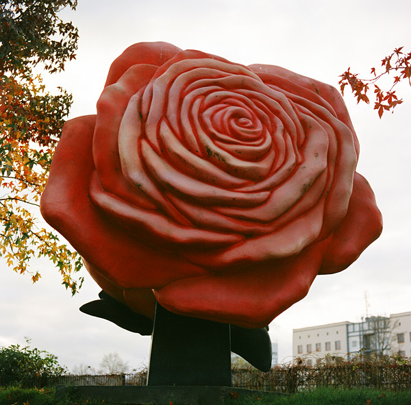 Berlin, november 2008