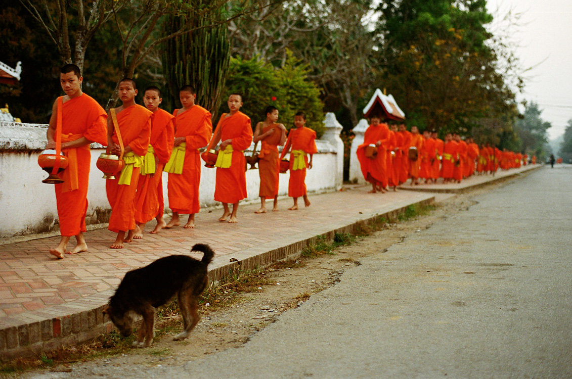 Procession des moines à l'aube (Luang Prabang)