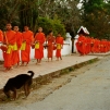 Procession des moines à l'aube (Luang Prabang)