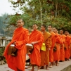 Procession des moines à l'aube (Luang Prabang)
