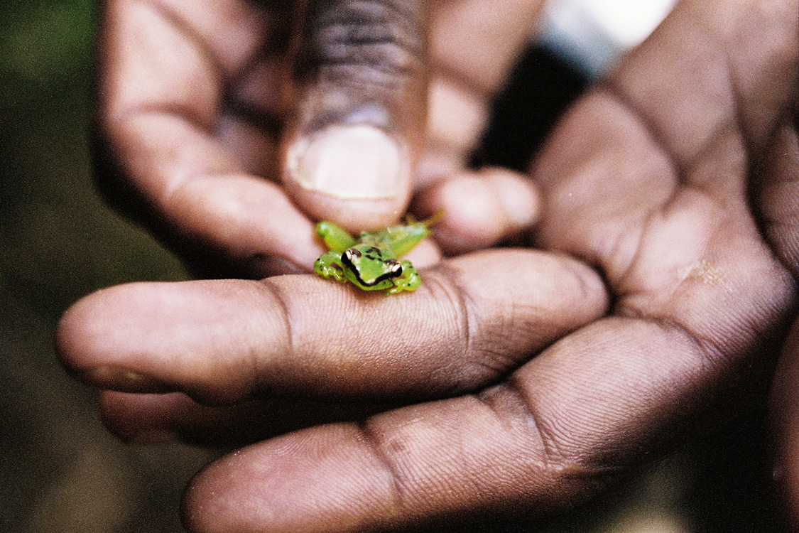 Madagascar, 2010