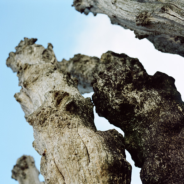 Saint-Malo, december 2011