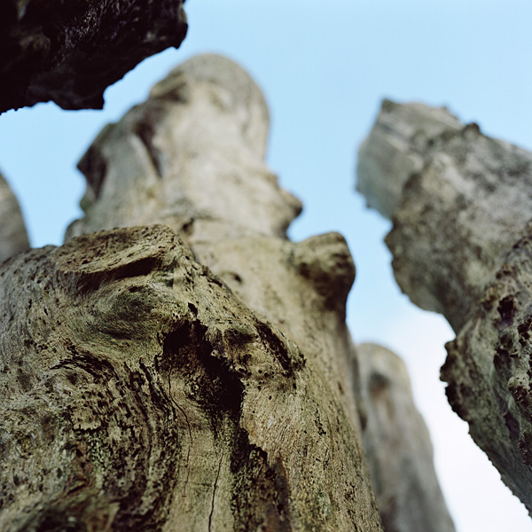 Saint-Malo, december 2011