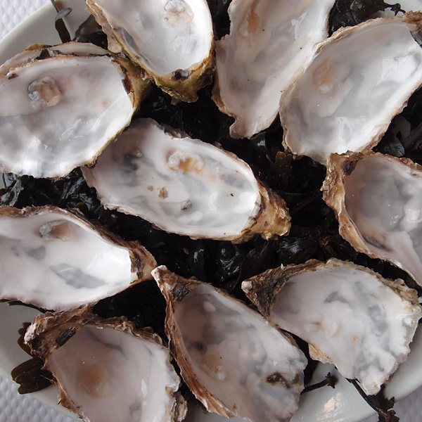 Saint-Malo, december 2011