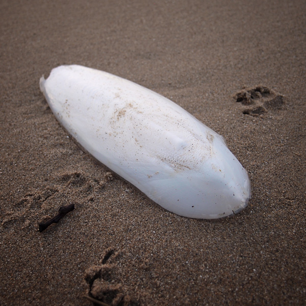 Saint-Malo, december 2011