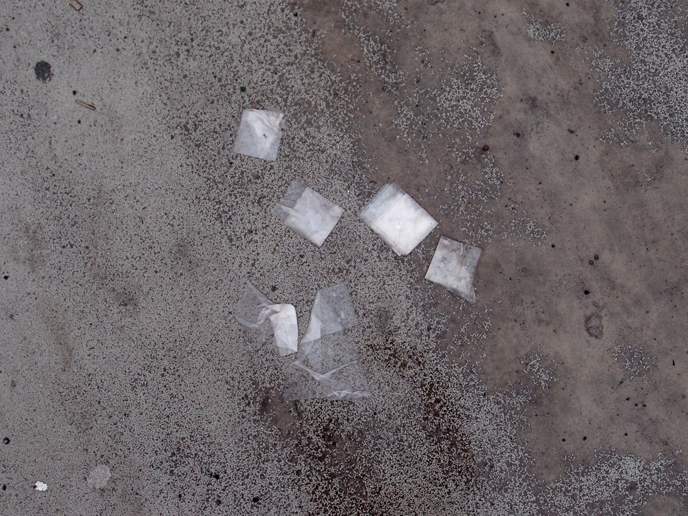 Berlin, january 2012