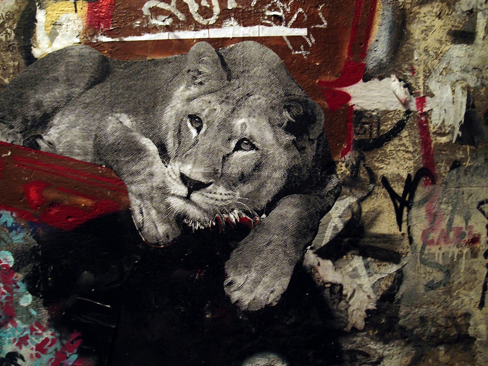 Berlin, january 2012