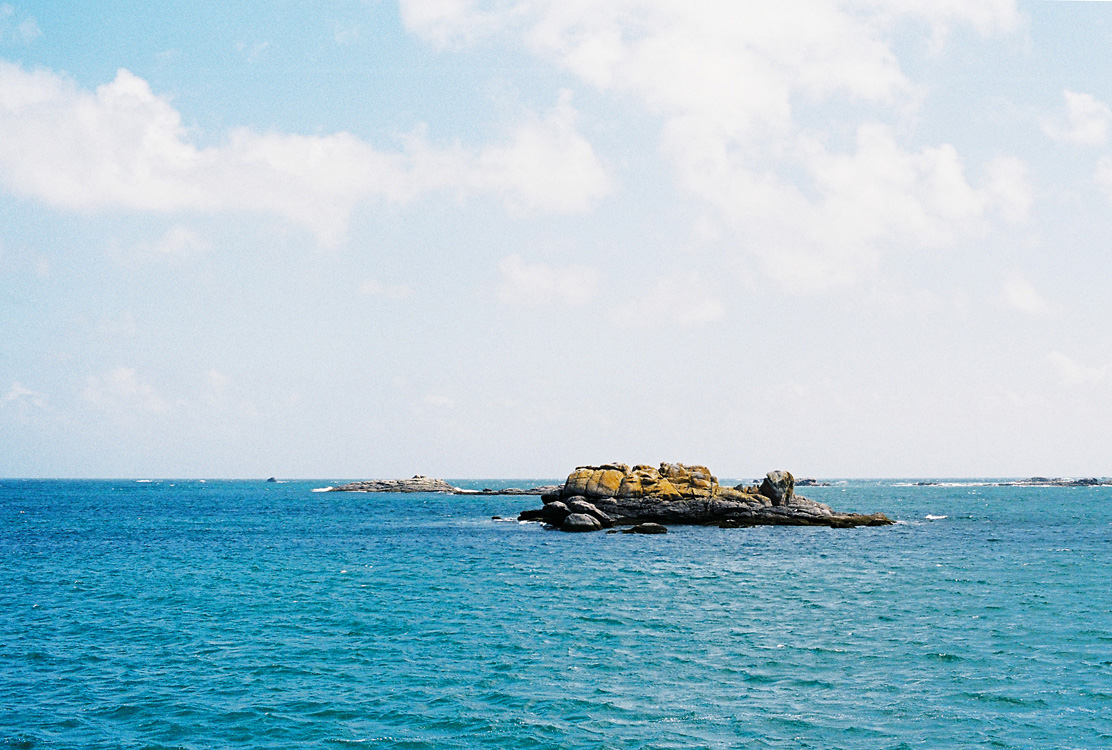 Ris&eacute;e, les Gl&eacute;nans, juin 2012