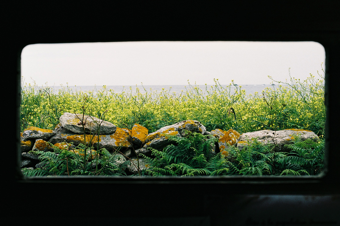 Ris&eacute;e, les Gl&eacute;nans, juin 2012