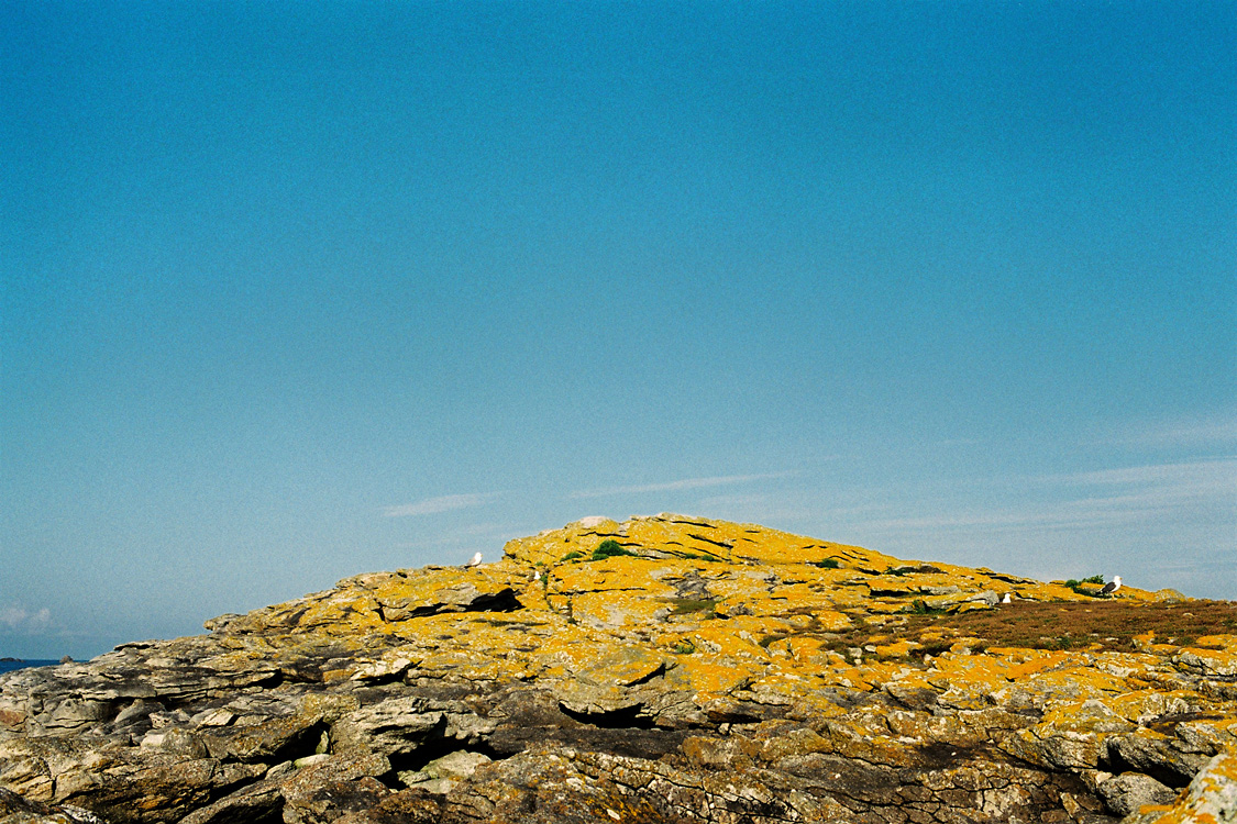 Ris&eacute;e, les Gl&eacute;nans, juin 2012