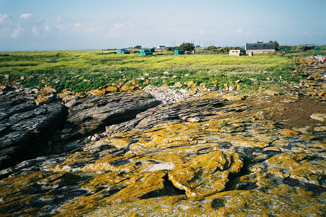 Ris&eacute;e, les Gl&eacute;nans, juin 2012