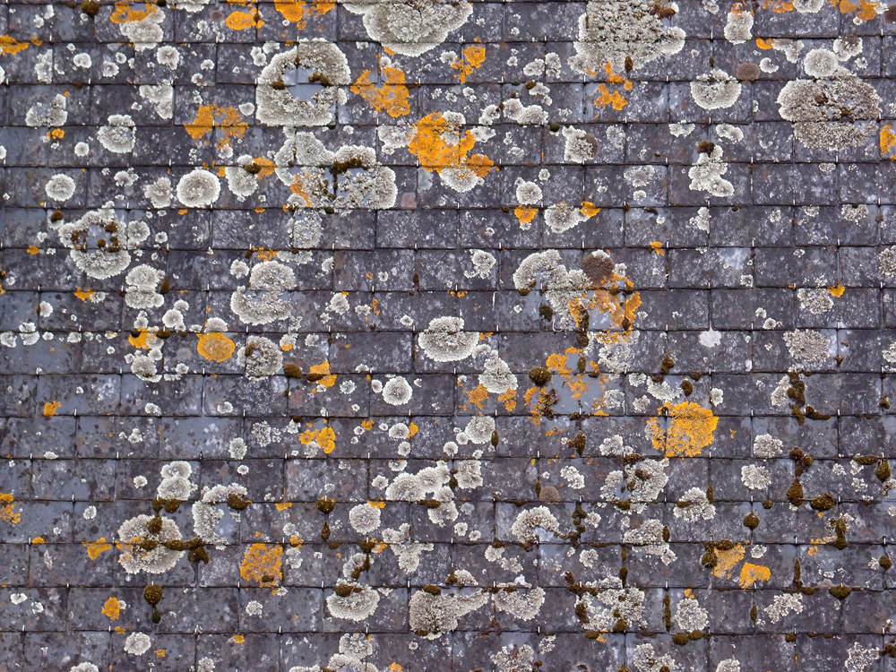 Niveau 3. Navigation, Les Gl&eacute;nans, avril 2013