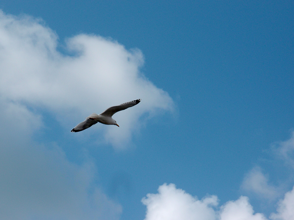 Niveau 3. Navigation, Les Gl&eacute;nans, avril 2013