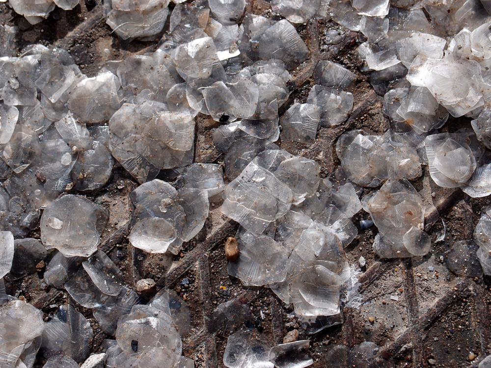 Niveau 3. Navigation, Les Gl&eacute;nans, avril 2013