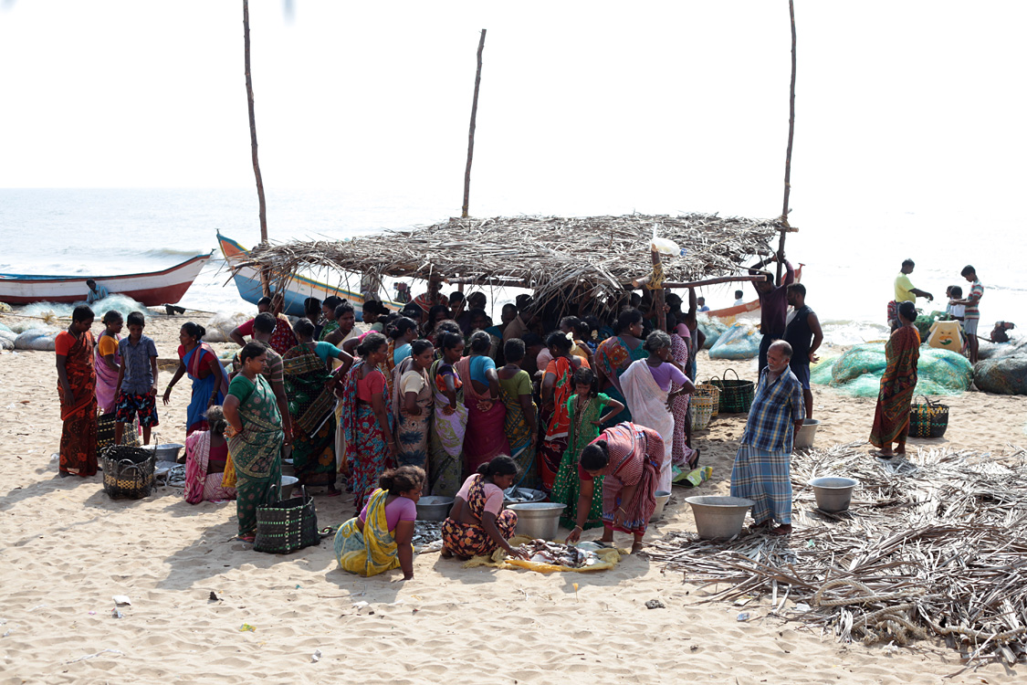 Mahabalipuram and around