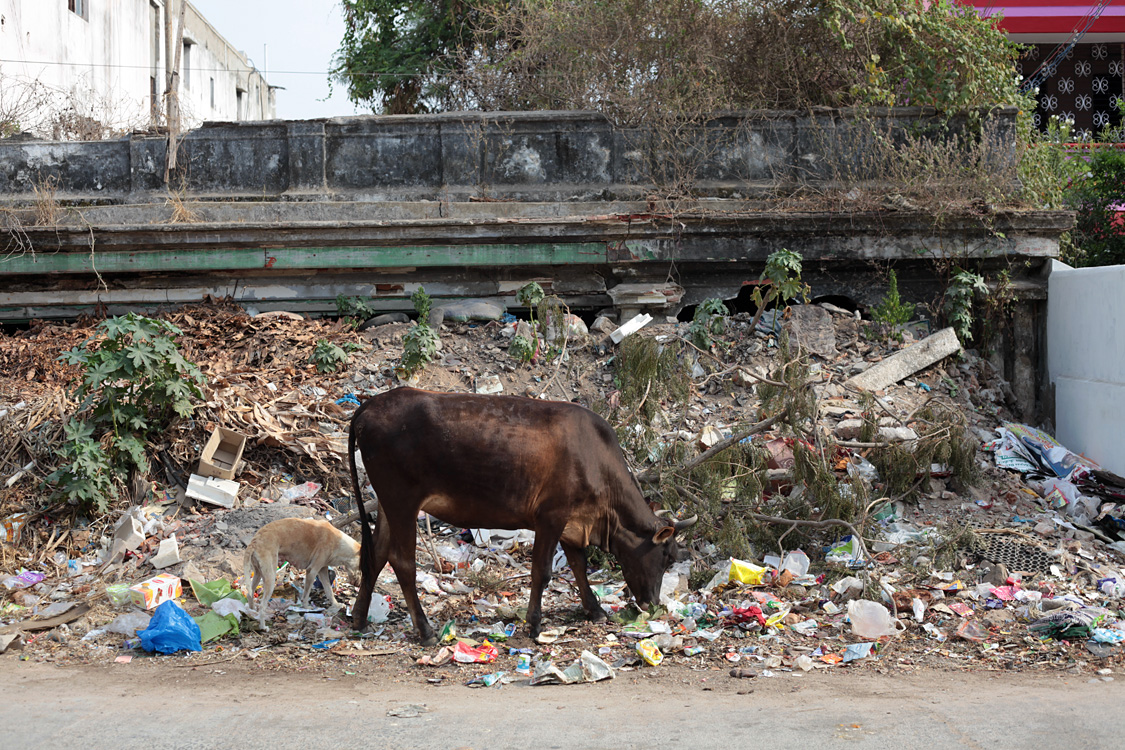 Kanchipuram and around