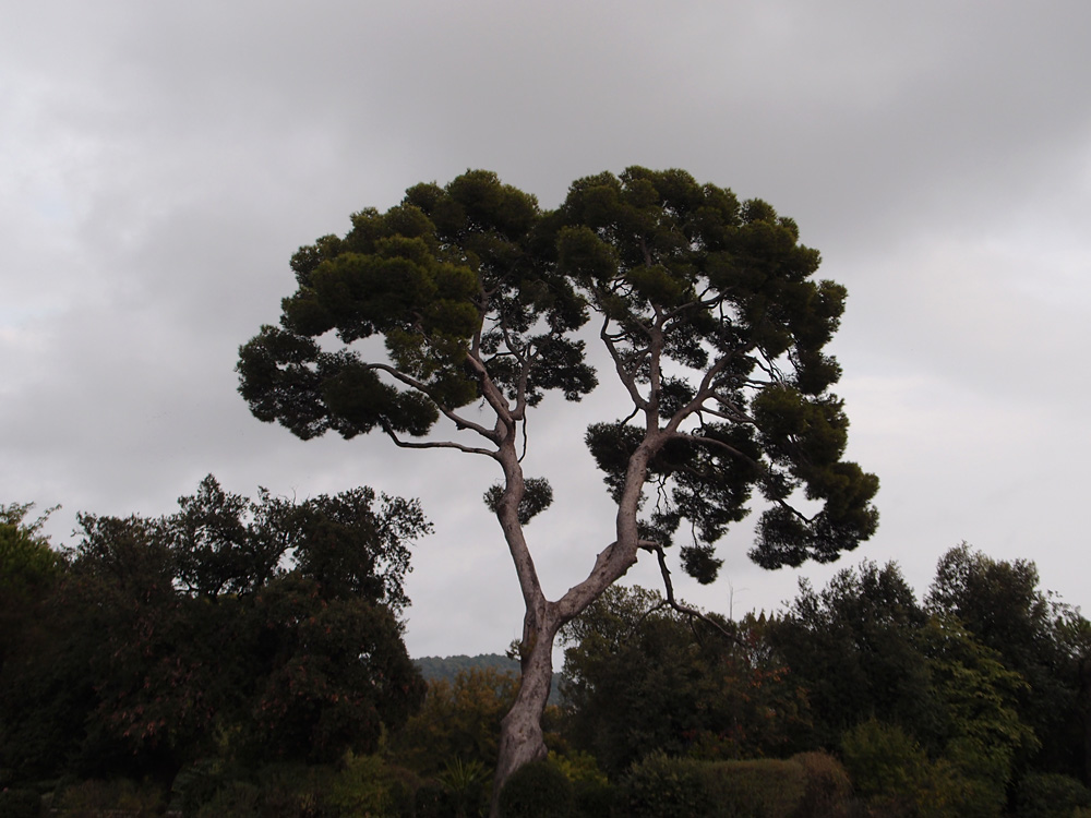 Nice and around, september 2013