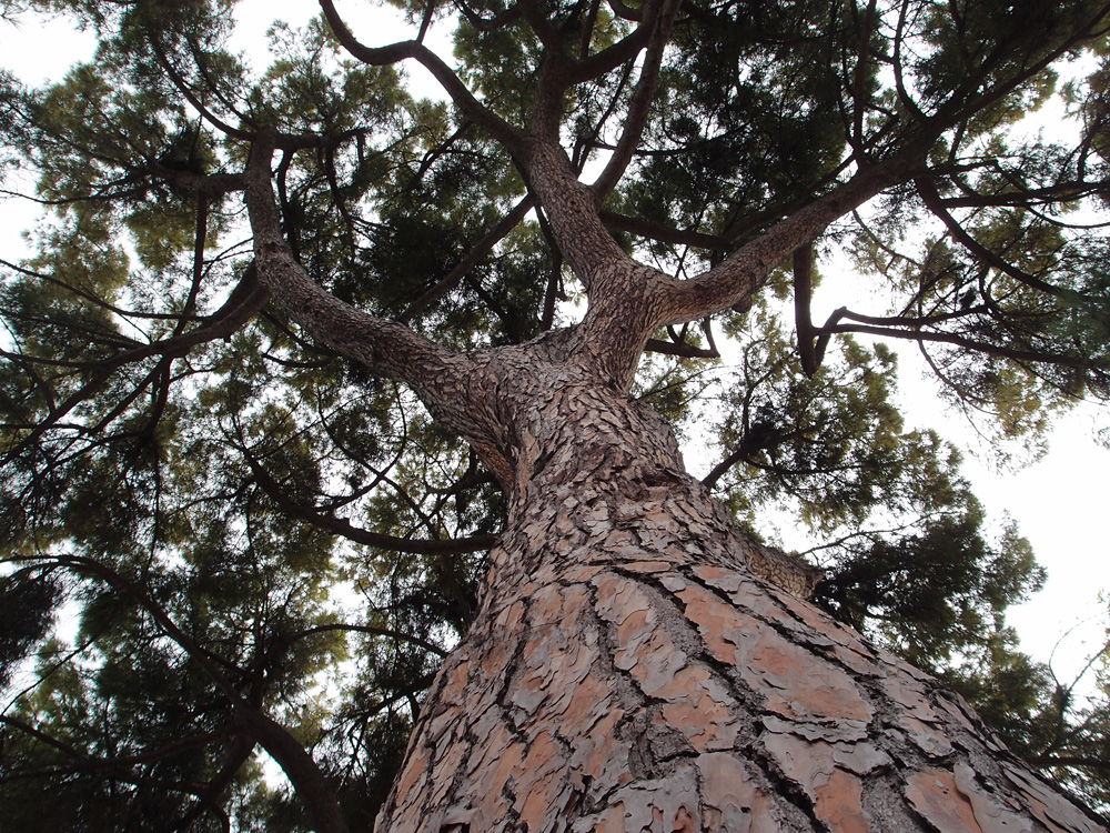 Nice and around, september 2013