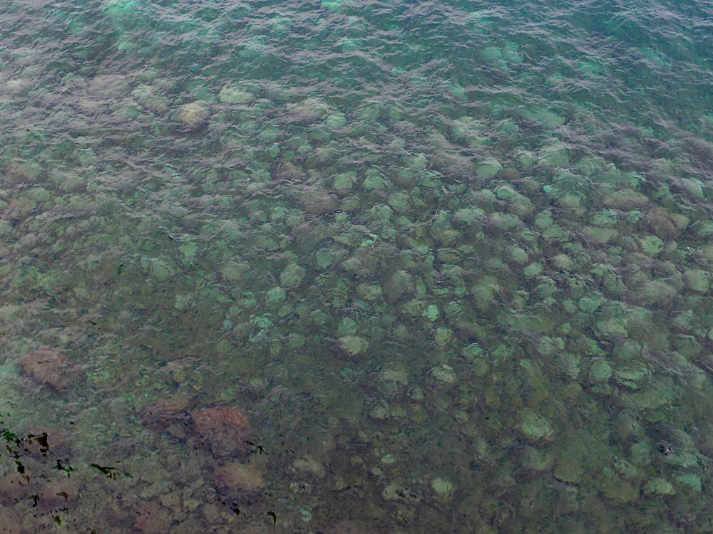 Nice and around, september 2013