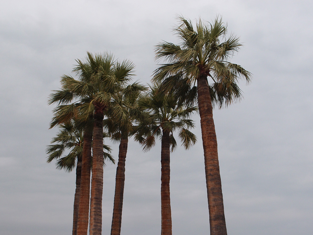 Nice and around, september 2013