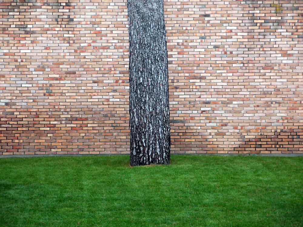 Nice and around, september 2013