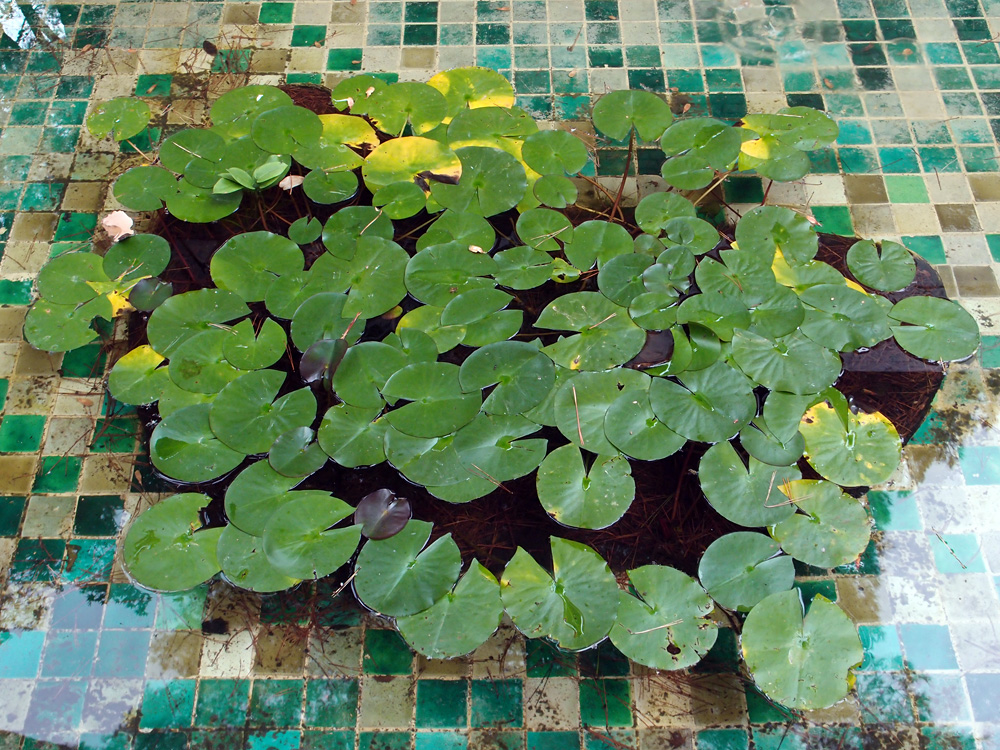 Nice and around, september 2013